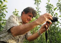 روایتی از استاد شجریان در باغ دماوند + عکس
