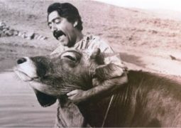 جشنواره فیلم‌های ایرانی زوریخ با «گاو» افتتاح می‌شود